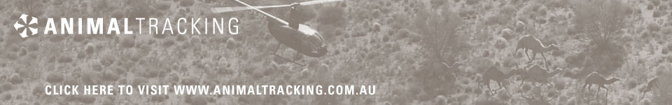 ANIMAL TRACKING - Click here to visit www.animaltracking.com.au